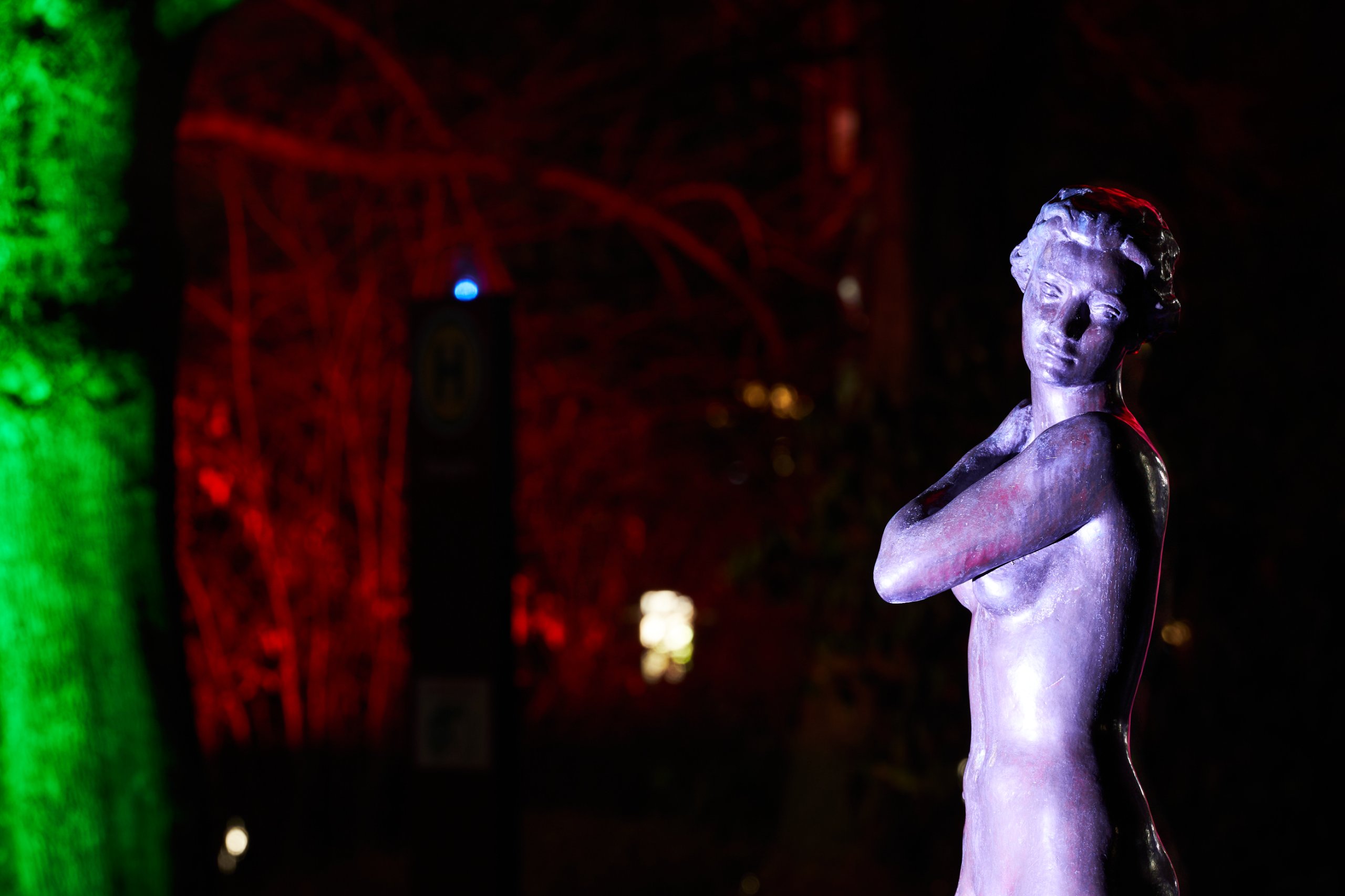 2023 01 23 Parkleuchten 0175